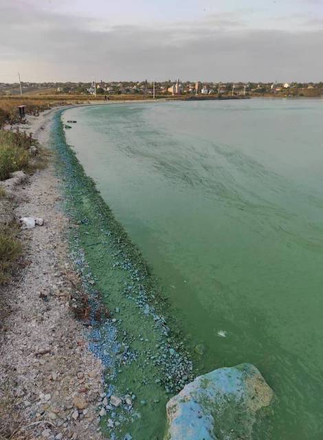 Свежие новости: Южный Буг окрасился в ярко-зеленый цвет и неприятный запах