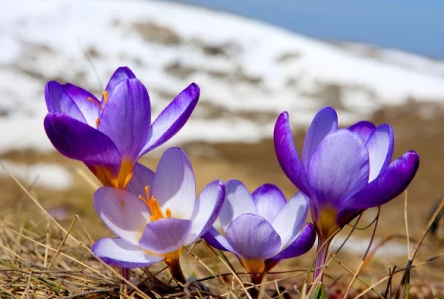 Свежие новости: Погода на завтра: В Украине преимущественно солнечно, ночью похолодает до -5 градусов