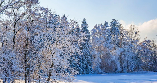 Свежие новости: В Україну йдуть морози до -20°