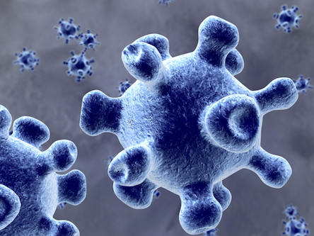 Свежие новости: Украинцев предупредили об опасной инфекции