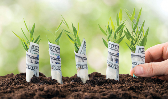 Фото новости: Доманевская РГА незаконно передала гражданам два пая, общей стоимостью ₴285 тысяч Свежие новости: Доманевская РГА незаконно передала гражданам два пая, общей стоимостью ₴285 тысяч