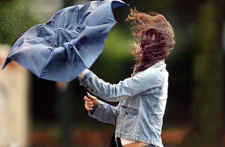 Свежие новости: Объявлено штормовое предупреждение