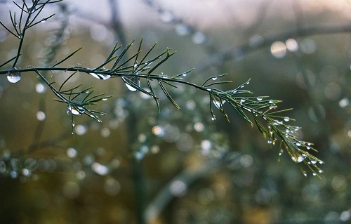 Свежие новости: Синоптики прогнозируют в Украине самый теплый за много лет январь