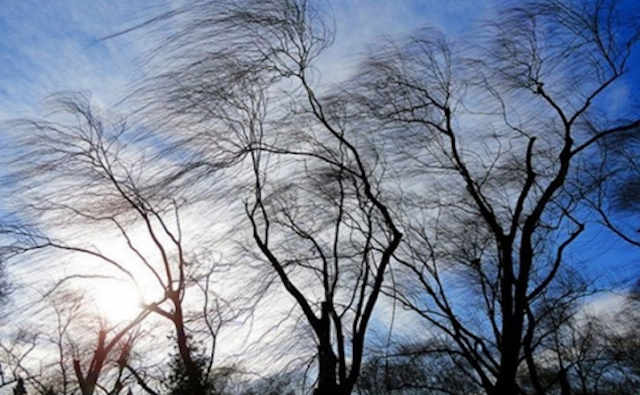Фото новости: В Украине объявлено штормовое предупреждение на завтра Свежие новости: В Украине объявлено штормовое предупреждение на завтра