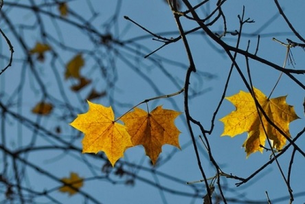 Свежие новости: Синоптики дали прогноз на наступні три доби
