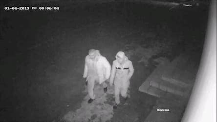 Свежие новости: В Арбузинке украли гирлянду с городской елки. ВИДЕО