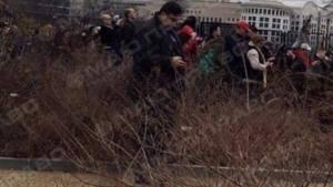 Свежие новости: Во время инаугурации Трампа Саакашвили «прятался в кустах»