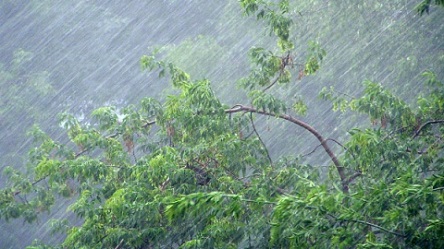 Свежие новости: Штормовое предупреждение в Южноукраинске