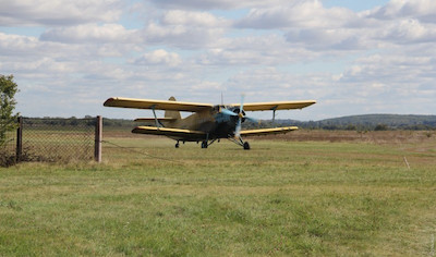 Свежие новости: В Одесской области будут разбрасывать с самолетов вакцину от бешенства для диких животных