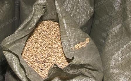 Свежие новости: В Николаеве воры выгрузили из вагонов 10 тонн сои