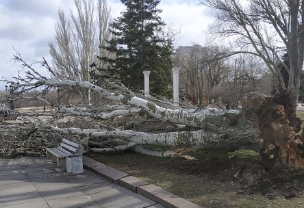 Свежие новости: В Николаеве ураганный ветер сорвал 9 крыш, в том числе – крышу с ДК «Корабельный». И в ближайшие часы ветер только усилится