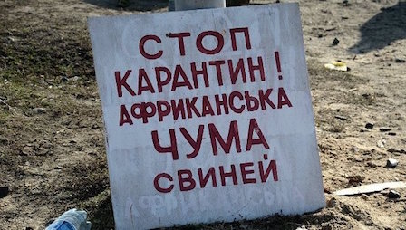 Свежие новости: В Березанском районе выявили вспышку АЧС