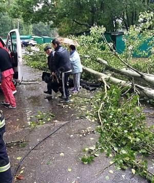 Свежие новости: В Одессе из-за сильного ветра погибла пенсионерка