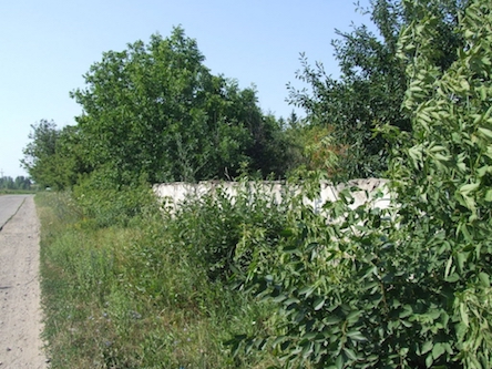 Свежие новости: Вознесенськ. Попередження населенню про дотримання правил благоустрою, чистоти і порядку