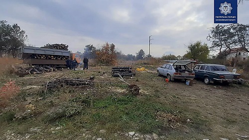 Свежие новости: В Варваровке патрульные выявили мужчин, которые без документов пилили деревья