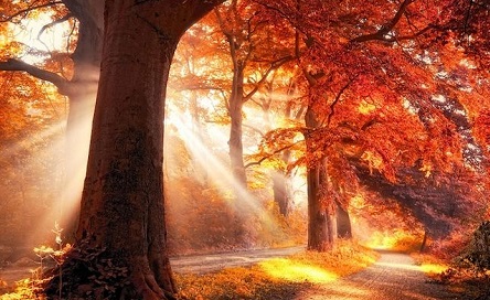 Свежие новости: Ясно, но ветрено - погода в Николаеве на завтра