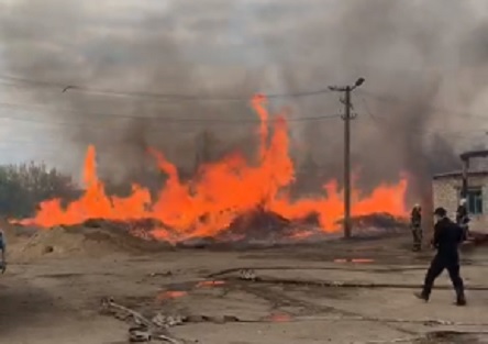 Свежие новости: 