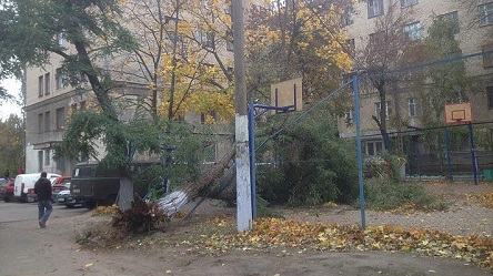 Свежие новости: ВИДЕО: В Николаеве вузовское общежитие осталось без света из-за падения дерева на электроопору
