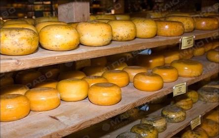 Свежие новости: «Баштанский сырзавод» получил разрешение на экспорт своей продукции в мусульманские страны