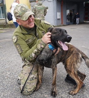 Свежие новости: В Україну прибула четверта партія службових собак із Європи