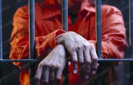Свежие новости: В Первомайске гражданина Армении приговорили к 9 годам лишения свободы за кражу 4,3 миллиона гривен