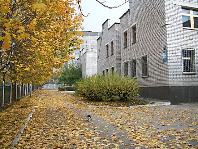 Свежие новости: Полиция нашла троих пропавших подростков из Южноукраинска