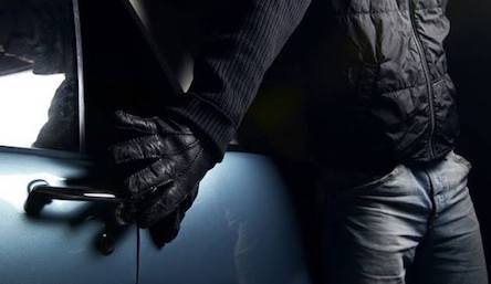 Свежие новости: На Николаевщине благодаря смелости неравнодушного гражданина оперативники задержали автовора