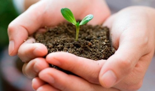 Свежие новости: Рейтинг стран ЕС по площадям органических сельхозугодий