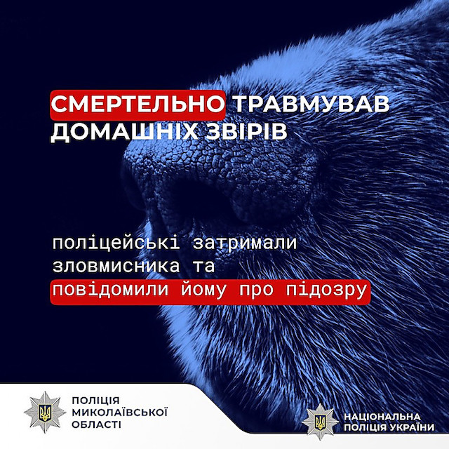 Свежие новости: На Миколаївщині чоловік жорстоко вбив собаку і кота: поліція повідомила про підозру