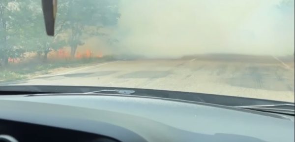 Свежие новости: Вантажівка влетіла в пожежну машину під Нечаяним: на трасу вилилися напої