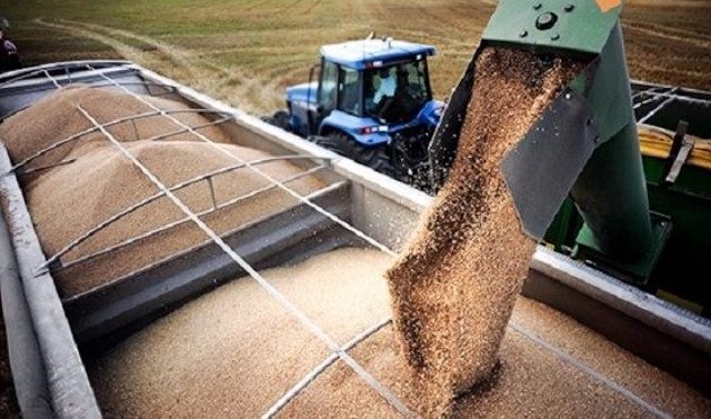 Свежие новости: Жителя Еланца подозревают в афере с зерном на более чем миллион гривен