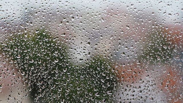 Свежие новости: В среду в большинстве областей Украины пройдут дожди и грозы - синоптик