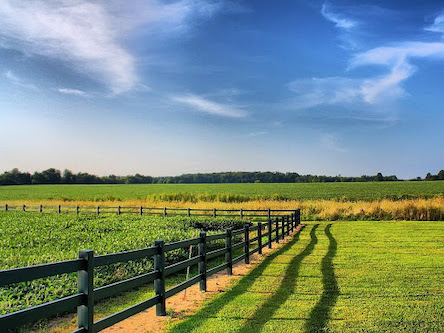 Свежие новости: Рада разблокировала подписание одного из законов для завершения земельной реформы