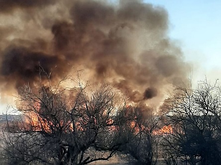 Свежие новости: На Николаевщине спасатели снова тушили пожары на открытых территориях – в одном случае предполагают поджог