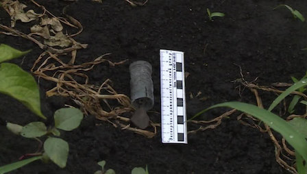 Свежие новости: Пьяный владелец усадьбы расстрелял молодоженов за купание в пруду