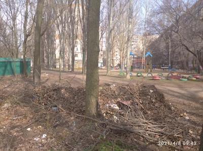 Свежие новости: В Николаеве работники ЖКХ выбрасывают мусор из баков в парке