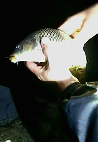 Свежие новости: На Николаевщине полиция и экоинспекция изъяли сетки браконьеров и отпустили пойманную рыбу