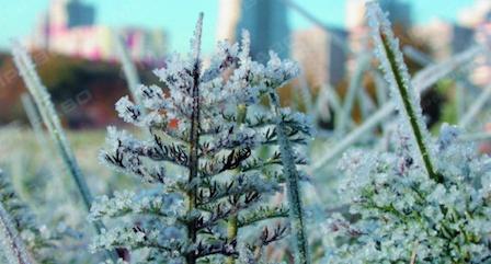 Свежие новости: В Украину снова идут заморозки