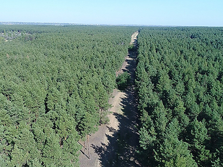 Свежие новости: Николаевские спасатели во избежание пожаров патрулируют леса с помощью беспилотников