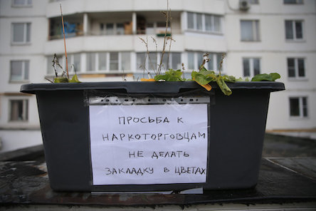 Свежие новости: В Николаеве офицера полиции и сына судьи уличили на поиске «закладки» с наркотиками