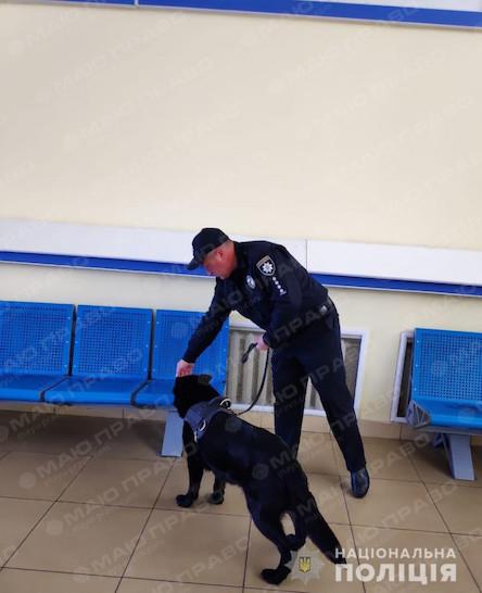 Фото новости: В Одесском аэропорту снова ищут взрывчатку Свежие новости: В Одесском аэропорту снова ищут взрывчатку