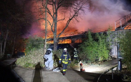 Свежие новости: В Германии виновницы трагического пожара в зоопарке сами пришли в полицию