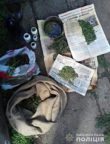 Свежие новости: В Вознесенском районе мужчина дома выращивал коноплю для собственного употребления