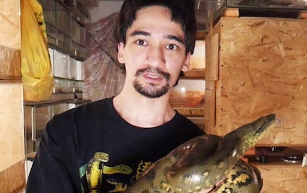 Свежие новости: Блогер скончался после укуса змеи в прямом эфире