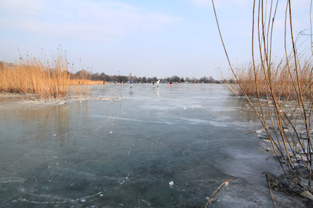 Свежие новости: ВИДЕО: В Киеве подросток покончил с собой на глазах у своих знакомых