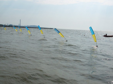 Свежие новости: В Украине создан новый заповедник