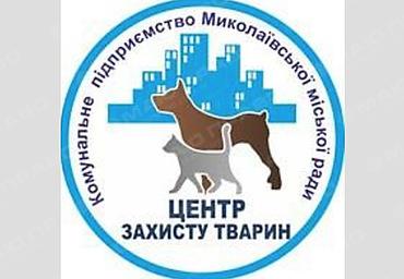 Свежие новости: КП «Центр защиты животных» призвал николаевцев помочь продуктами питания для животных