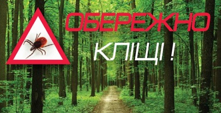 Свежие новости: Небезпека від кліщів