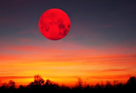 Свежие новости: Сегодня украинцы смогут увидеть Суперлуну