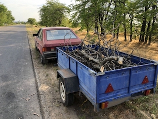 Свежие новости: Житель Миколаєва віз у причепі зрубане дерево